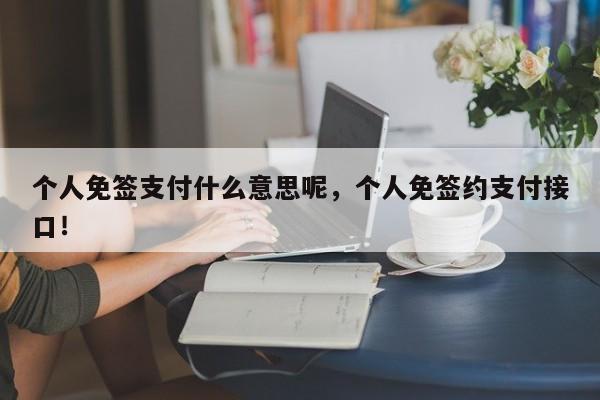 个人免签支付什么意思呢，个人免签约支付接口！