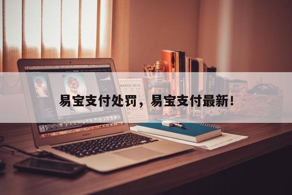 易宝支付处罚，易宝支付最新！