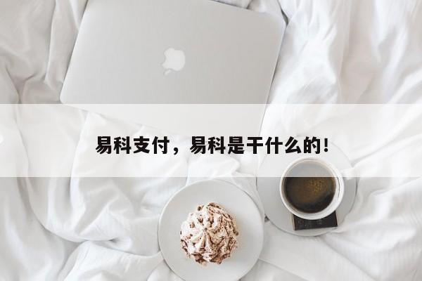 易科支付，易科是干什么的！