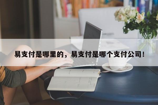 易支付是哪里的，易支付是哪个支付公司！