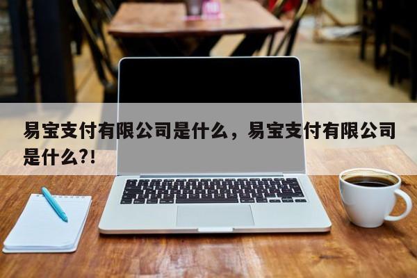 易宝支付有限公司是什么，易宝支付有限公司是什么?！