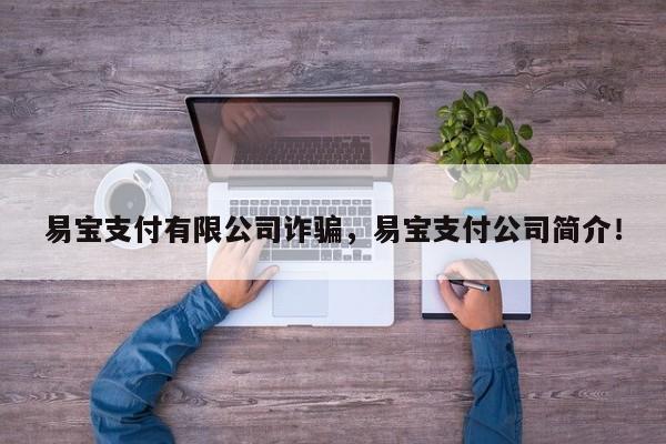 易宝支付有限公司诈骗，易宝支付公司简介！