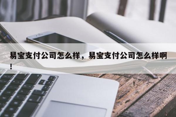 易宝支付公司怎么样，易宝支付公司怎么样啊！