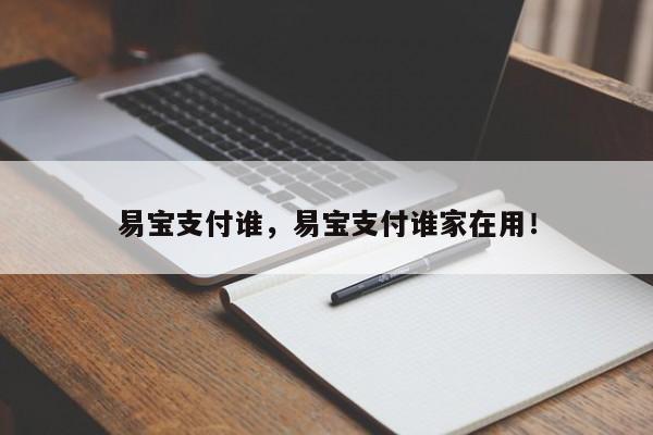 易宝支付谁，易宝支付谁家在用！