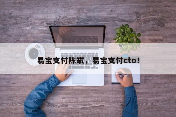 易宝支付陈斌，易宝支付cto！