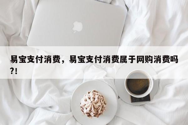 易宝支付消费，易宝支付消费属于网购消费吗?！