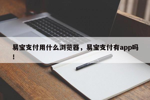 易宝支付用什么浏览器，易宝支付有app吗！