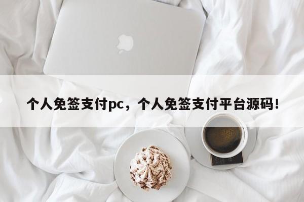 个人免签支付pc，个人免签支付平台源码！