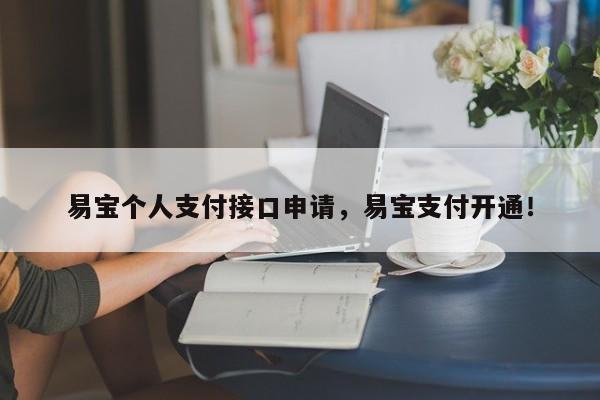 易宝个人支付接口申请，易宝支付开通！