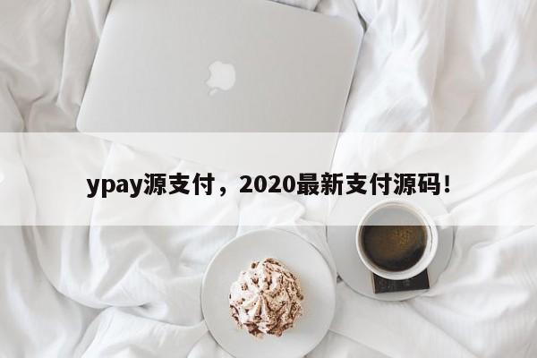 ypay源支付，2020最新支付源码！