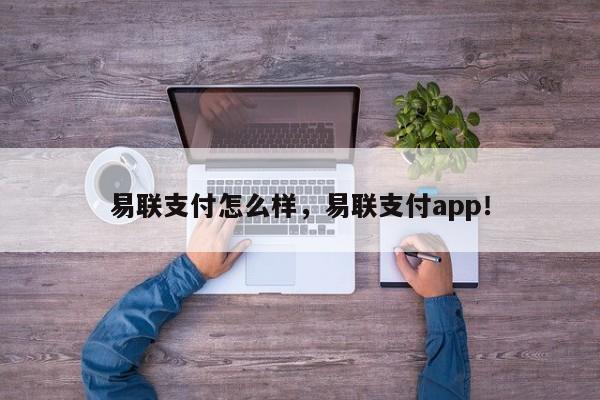 易联支付怎么样，易联支付app！