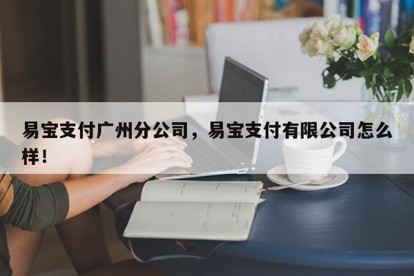 易宝支付广州分公司，易宝支付有限公司怎么样！