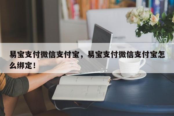 易宝支付微信支付宝，易宝支付微信支付宝怎么绑定！