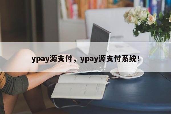 ypay源支付，ypay源支付系统！