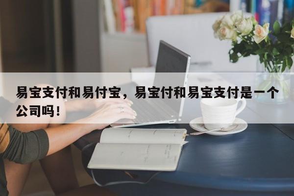 易宝支付和易付宝，易宝付和易宝支付是一个公司吗！