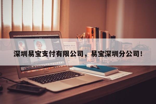 深圳易宝支付有限公司，易宝深圳分公司！