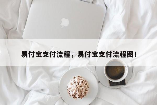 易付宝支付流程，易付宝支付流程图！