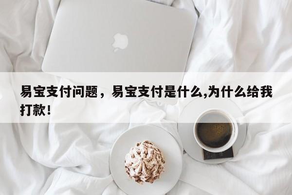 易宝支付问题，易宝支付是什么,为什么给我打款！