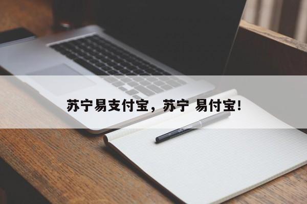 苏宁易支付宝，苏宁 易付宝！