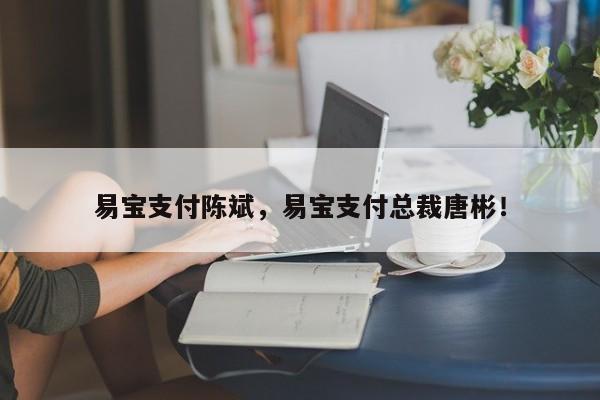 易宝支付陈斌，易宝支付总裁唐彬！