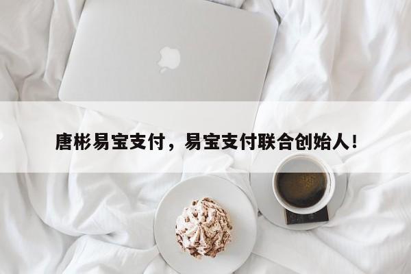 唐彬易宝支付，易宝支付联合创始人！