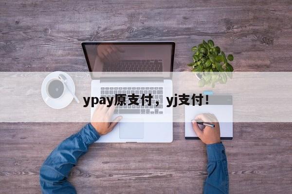 ypay原支付，yj支付！