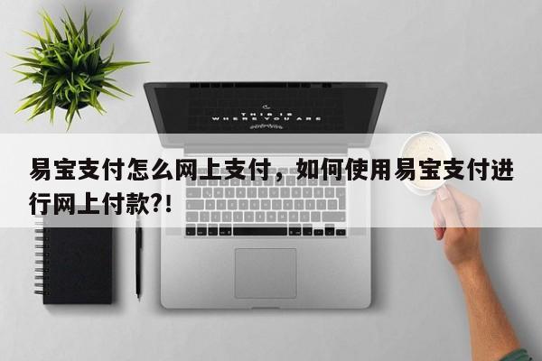 易宝支付怎么网上支付，如何使用易宝支付进行网上付款?！