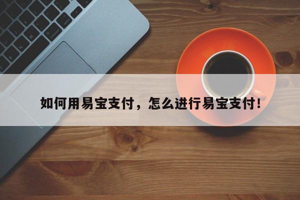 如何用易宝支付，怎么进行易宝支付！