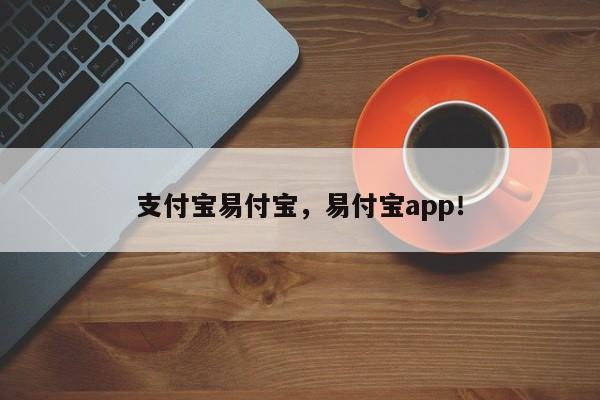 支付宝易付宝，易付宝app！