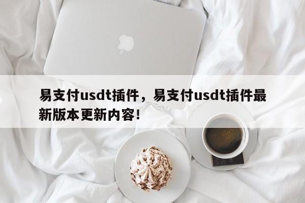 易支付usdt插件，易支付usdt插件最新版本更新内容！