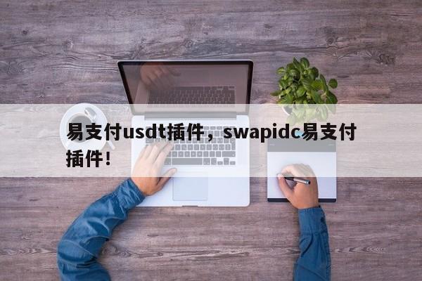 易支付usdt插件，swapidc易支付插件！