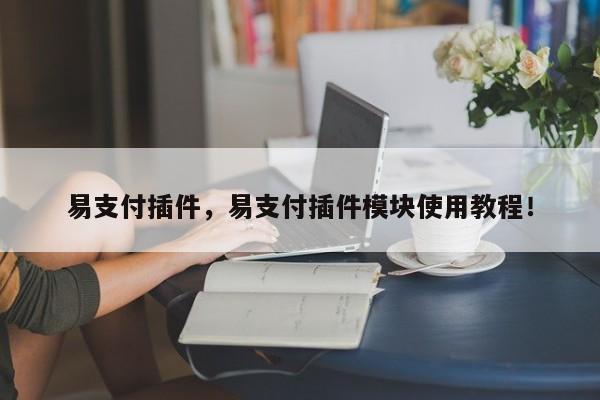 易支付插件，易支付插件模块使用教程！