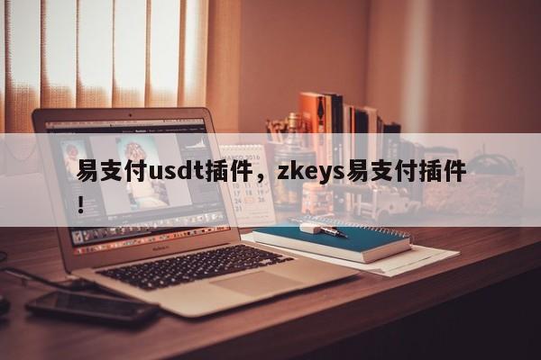 易支付usdt插件，zkeys易支付插件！