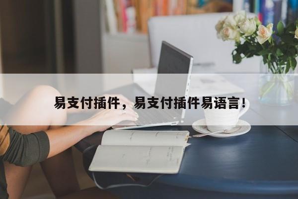 易支付插件，易支付插件易语言！